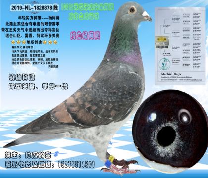 ����������ƣ������ī��㣬��������