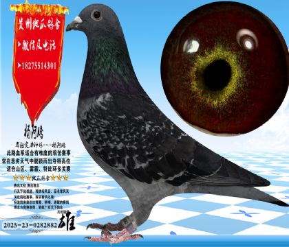 ��ڹ�ͭ���ۣ��������ͣ���ɳ��Ҫ��Ư��