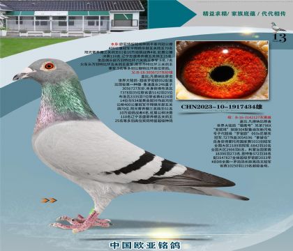 �Ǳ�ԭ�ᳬ������ŷֱ��727X��ӥ��127