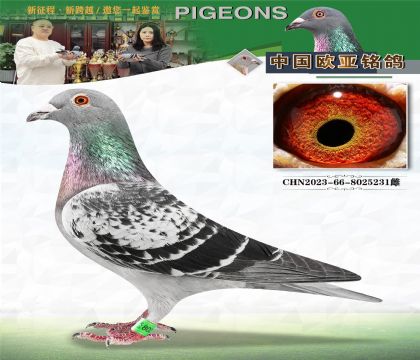 ��.����˹ԭ�ᡰ������638X��������367