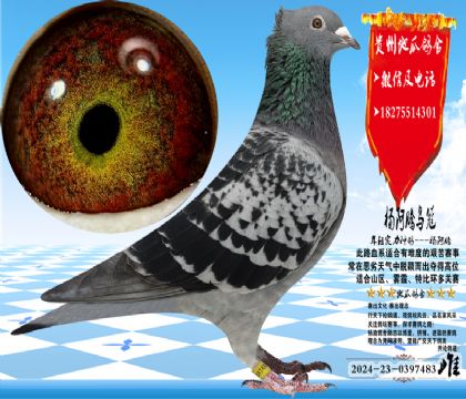 ��ڹ�ͭ�۴ƣ���ɳʵ�����㣬��������