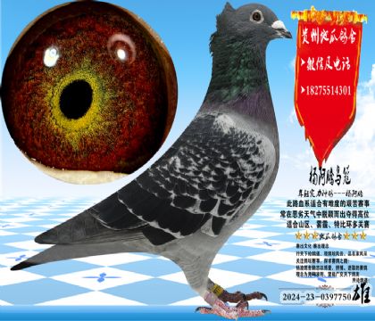 �����ڹ�ͭ���ۣ����������Ŵ��ȶ�