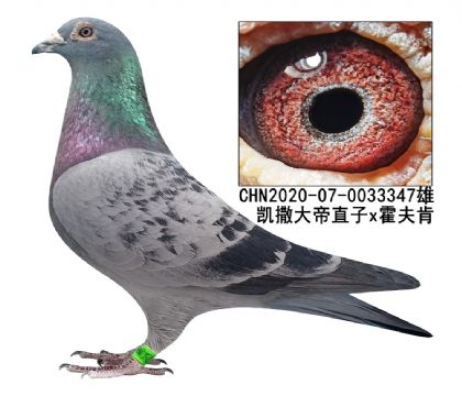 �������ֱ��X�����