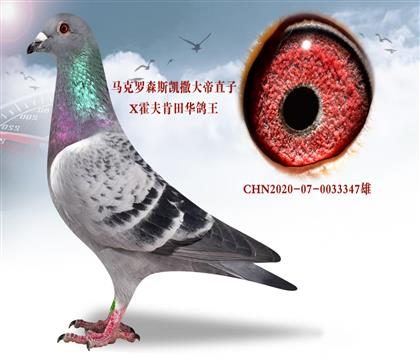 ��������ͼƬ