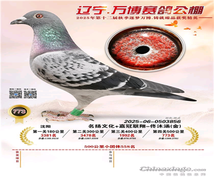 ����������Ƭ