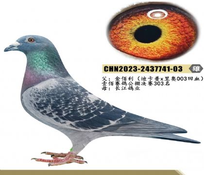 �Ͽ���x���003