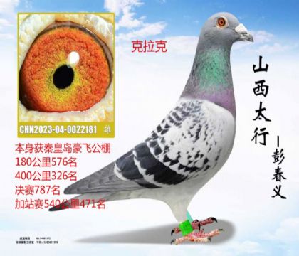 �ػʵ����ɹ������787��������