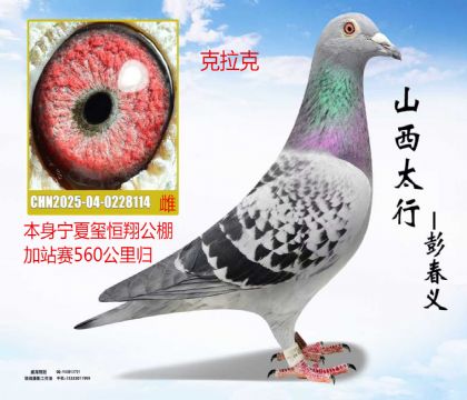 ���ĺ��蹫���վ��560�����վ���������