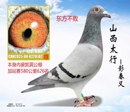 ���ɿ��������վ��580����626����������