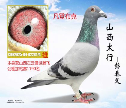 ɽ������ʢ���ڷɼ�վ��1190�����ǲ���