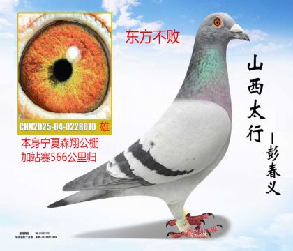 ����ɭ���վ��556����鶫������