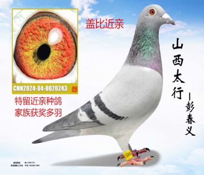 �Ǳ�����Ž���