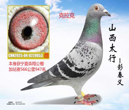 ����ɭ���վ��566����947��������