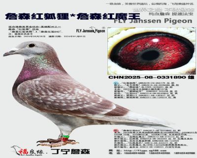 ղɭ�����/ղɭ��ħ��