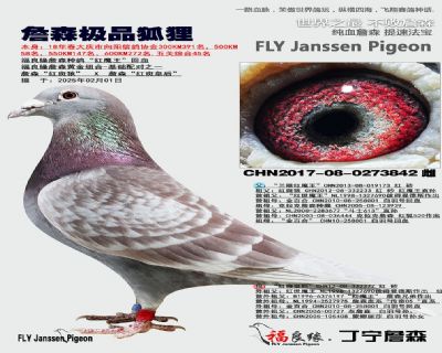 ��ĸ����