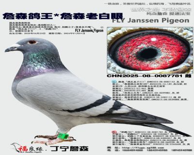 ղɭ����/ղɭ�ϰ���