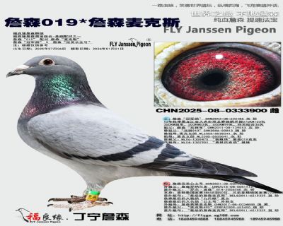 ղɭ019/ղɭ���˹