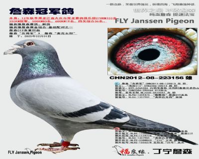 ��ĸ����