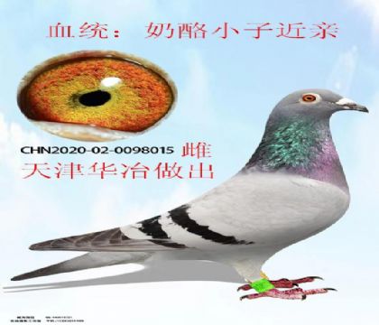 ���ұ���������ҽ���