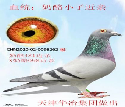 ���ұ�������ҽ���