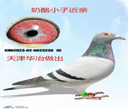 ���ұ���ҽ���