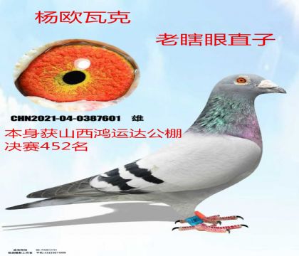 ɽ������˹������452����ŷ�߿���Ϲ��ֱ��