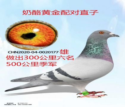 ����ɼ��븸���һƽ����ֱ��