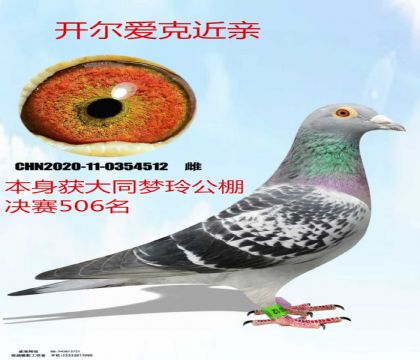 ��ͬ�������506����������