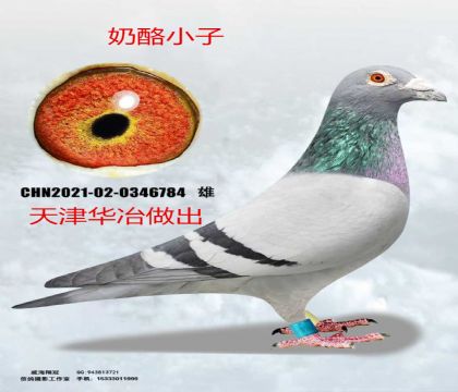 ���ұ����x����