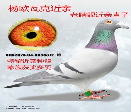 ��ŷ�߿���Ϲ�۽���ֱ��