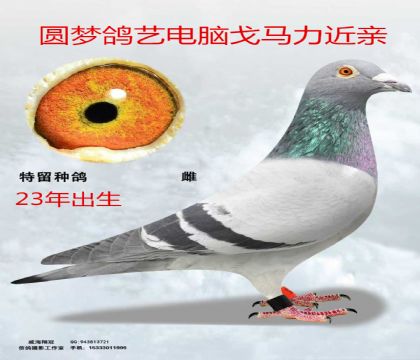 Բ�θ��յ��Ը���������