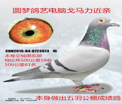 ��߱��ֽ����ر�108��Բ�θ��յ��Ը�����