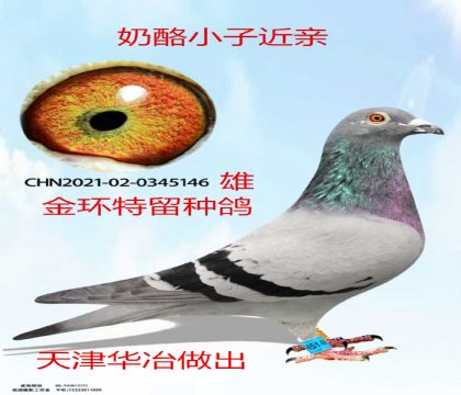 ���ұ�����ҽ���