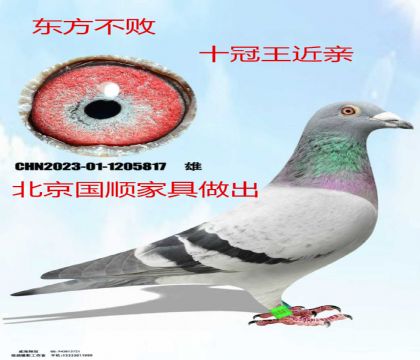 ��˳�Ҿ�������������ʮ����