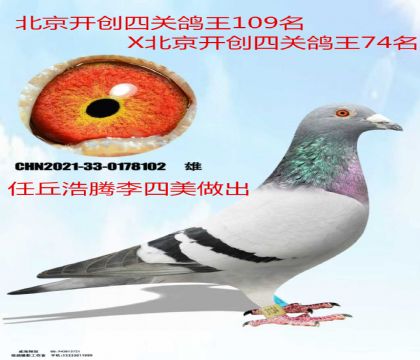 �������������������109X��������74