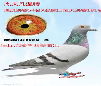 ������������ܷ�����