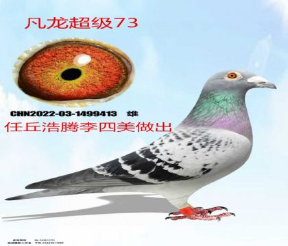 �������������������73