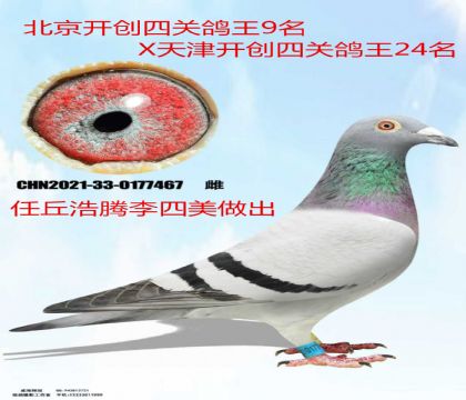 �������������������9X��������24