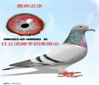 �����������ղɭ����