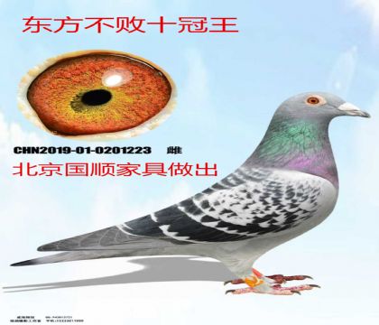 ��˳�Ҿ߶�������ʮ����