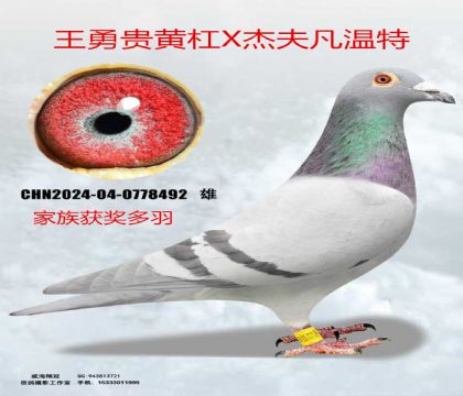 ���¹�Ƹ�X�ܷ�����