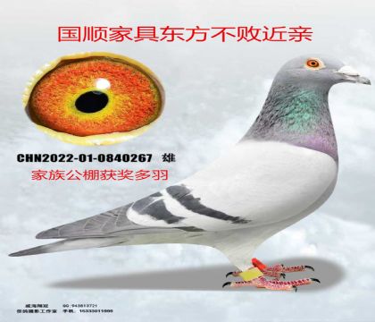 ��˳�Ҿ߶�������