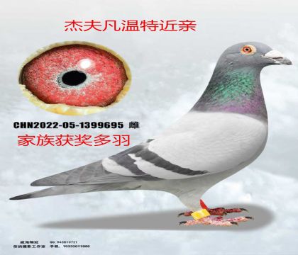 �ܷ����ؽ���