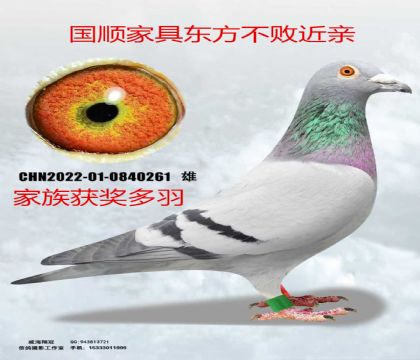 ��˳�Ҿ߶������ܽ���