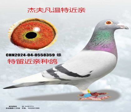 �ܷ����ؽ���