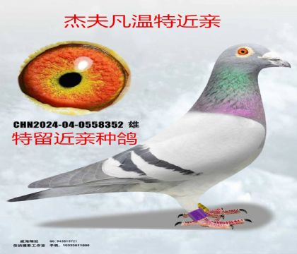 �ܷ����ؽ���