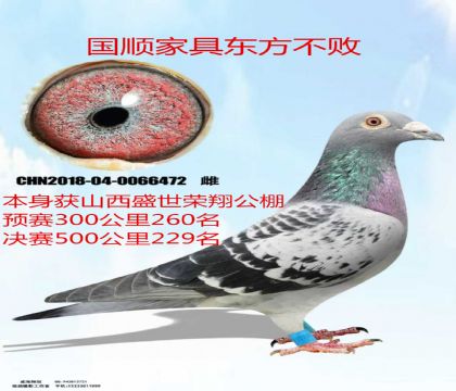 ɽ��ʢ�����蹫�����229����˳�Ҿ߶�������