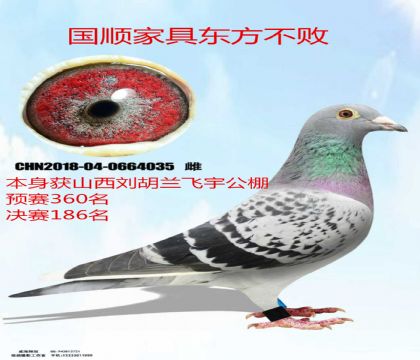 ɽ����������������186����˳�Ҿ߶�������