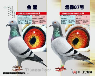 ��ĸ����