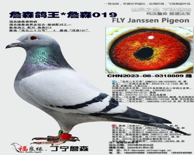 ��ĸ����